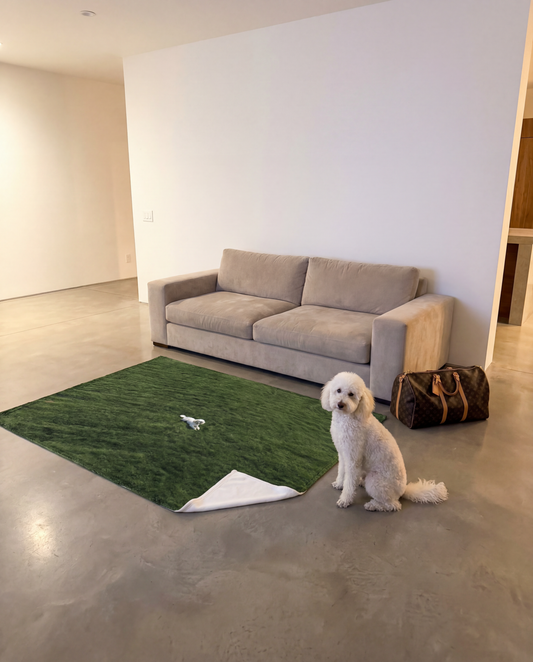 POODLE IN THE FIELD BLANKET